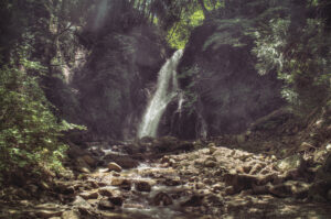 Jungle waterfall
