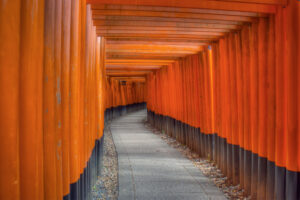 Kyoto torii gates